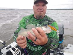 Angler fishing in Wisconsin Rapids