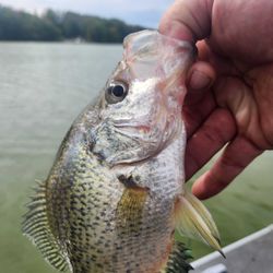 A fishing adventure in Wisconsin Rapids