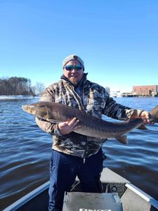 Massive lake sturgeon caught while fishing in WI