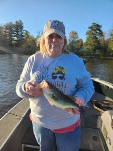 Largemouth bass caught while fishing in WI