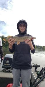 Picture of a huge chain pickerel caught while fishing in Wisconsin Rapids
