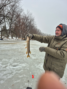 Wisconsin Rapids northern pike through the ice!