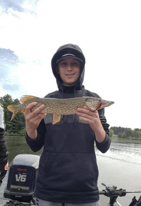 Northern Pike, 20-inch fish caught while fishing in WI