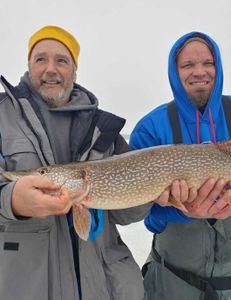 One northern pike fish caught in Wisconsin Rapids