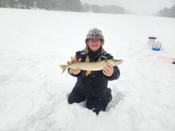 A Northern Pike fish caught in Wisconsin Rapids