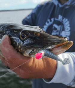 Top Wisconsin River Fishing