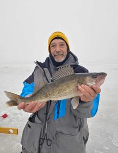 Walleye fish caught in WI