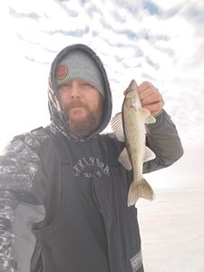 Walleye fish caught in WI