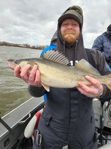 A Walleye fish caught in Wisconsin
