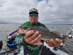 Walleye fish caught in WI