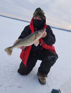 A 19-inch Walleye fish caught while fishing in Wisconsin Rapids