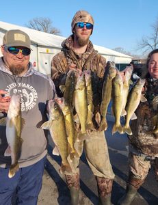6 walleye fish caught in Wisconsin Rapids