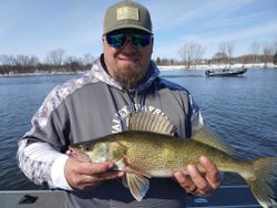 Impressive walleye fish caught in Wisconsin Rapids