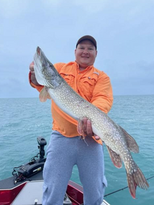 Northern pike strikes on Lake Saint Clair!