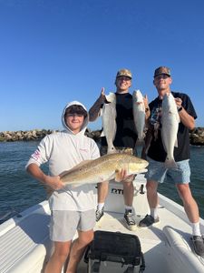 4 redfish caught in Pensacola while fishing