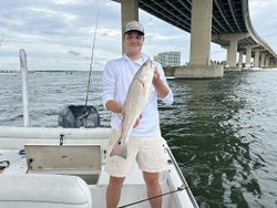 Redfish caught by angler in Pensacola