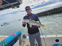 Snook Catch in Sebastian Florida Fishing. Book now