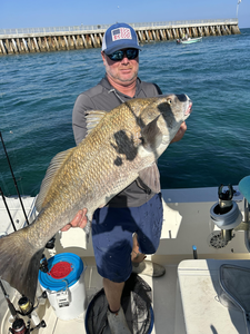 Caught a black drum on the open waters today!