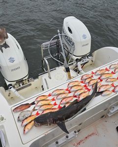 A scenic view of Sebastian, Florida during a fishing tour