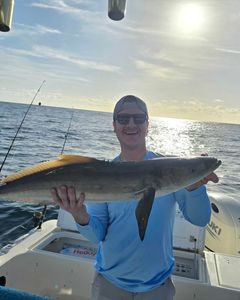 A photo of a huge great white shark caught during a fishing tour in Sebastian.