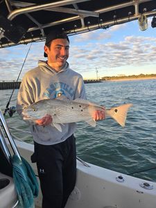 Redfish caught while fishing in Sebastian