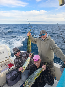 "Weathered Fishermen Grappling with Their Catch on the Craggy Shoreline"