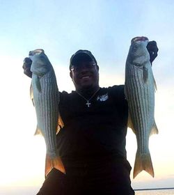 Striped bass dreams come true on Lake Anna!