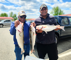 Two anglers with 3 striped bass in King George