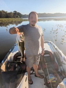 Angler holding caught bass fish on boat in King George VA waters with lily pads