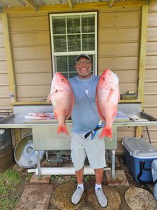 Two large red snapper caught fishing in King George VA displayed at cleaning station
