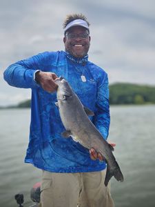Hardhead Sea Catfish catch in King George