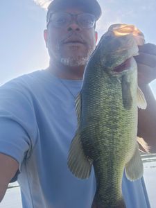 Freshly caught largemouth bass being held up during fishing trip in King George VA