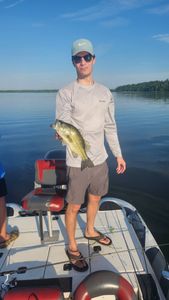 Bass caught while fishing on lake in King George VA