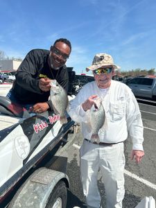 Two freshly caught crappie displayed after successful fishing trip in King George VA