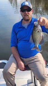 Freshly caught crappie displayed on boat in King George VA