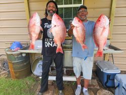 Four red snapper caught fishing in King George VA displayed at cleaning station