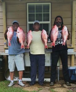 Three anglers displaying six red snapper caught fishing in King George VA