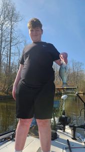 Crappie caught while fishing in King George VA held up on boat