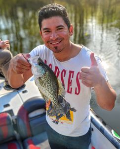 Crappie catch displayed on fishing boat in King George VA