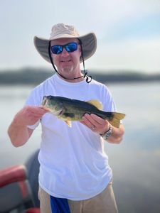 Largemouth bass caught while fishing in Virginia
