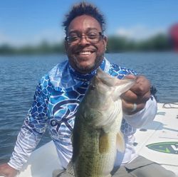 Largemouth bass caught while fishing in King George