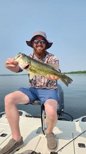 Largemouth bass caught in King George