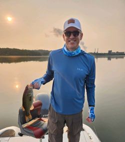 Lone angler enjoying a day of fishing in King George