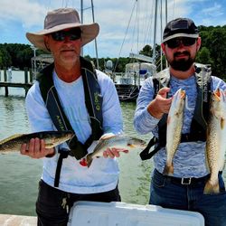 Four spotted weakfish caught by two people in King George
