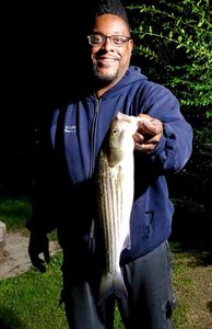 Striped bass caught in King George