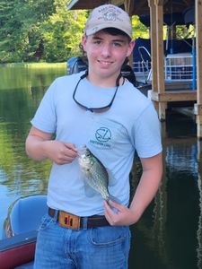 A 6-inch crappie caught fishing in VA