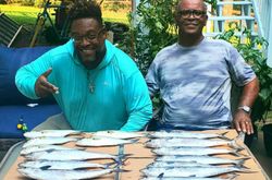 Three Spanish Mackerel, 16 inches, caught while fishing in King George