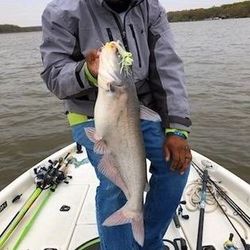 White Catfish caught while fishing in VA