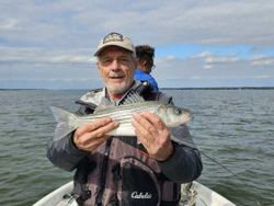 Wiper (Hybrid striped bass) caught while fishing in VA