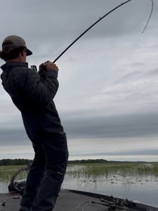 Fishing in FL